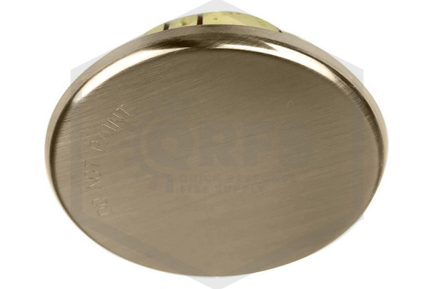 Viking® Mirage Cover Plate | Antique Brass | 135F | 2-3/4 in. OD | QRFS | Hero