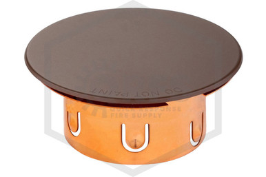 Cover Plate | Tyco™ LFII 3/4 in. Adj | Brown 139F
