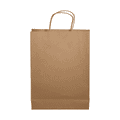 A brown paper bag with twisted handles and a flat base, suitable for various uses.