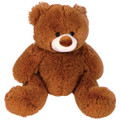 A plush teddy bear in a warm brown color, featuring a friendly face and soft, fuzzy texture.