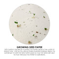 A circular close-up of seed paper showing small green sprouts emerging from a white background with black specks.
