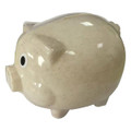 A wheat straw piggy bank in a light beige colour with glossy finish and large eyes, featuring a branding logo.