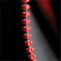 A close-up of a red zipper with toggles on a dark fabric background, featuring a visible logo on the garment.