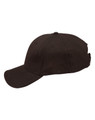 A black cap with a curved peak and an adjustable strap at the back, featuring a logo.