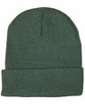 A green beanie with a textured pattern and a folded cuff, featuring a logo on the side.