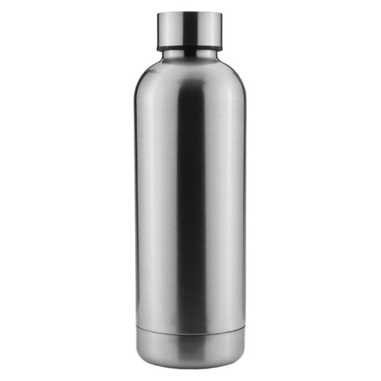 A drink bottle in a sleek silver finish, featuring a stainless steel design and a simple logo at the base.