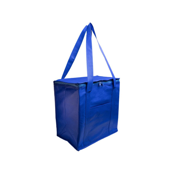 A blue cooler bag features sturdy handles and a zippered top. The bag has a front pocket for additional storage.