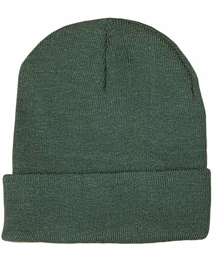 A green beanie with a textured pattern and a folded cuff, featuring a logo on the side.