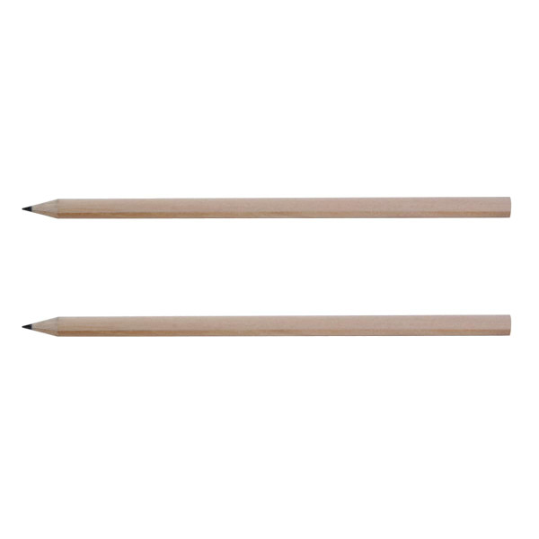 Two grey-lead pencils with sharpened wood bodies, showcasing a minimalist and natural design.