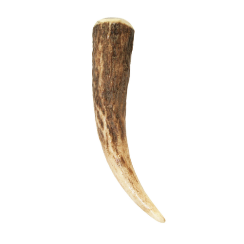 Kilt Pin | Horn Kilt Pin
