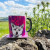 Gillian Kyle | Tartan Westie Chunky Mug