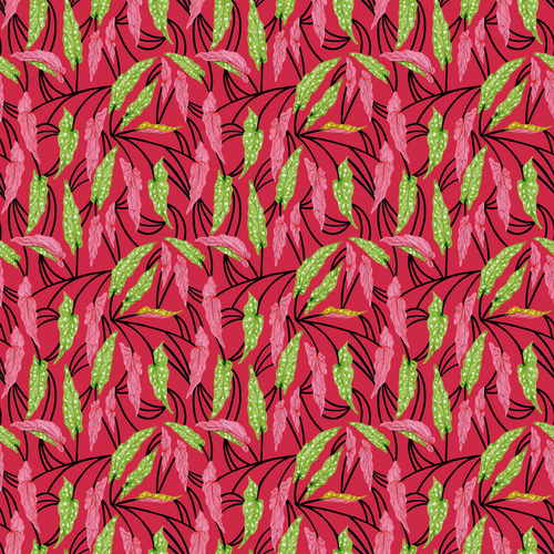 Iracema Justa - Pink Begonia