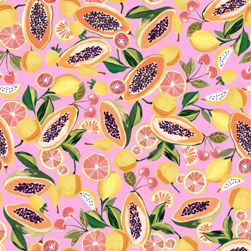 Josimar Clevesten - JOCSS05