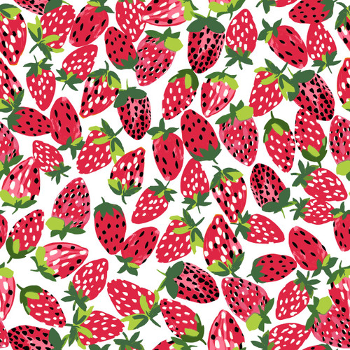 Josimar Clevesten - JOCSS11