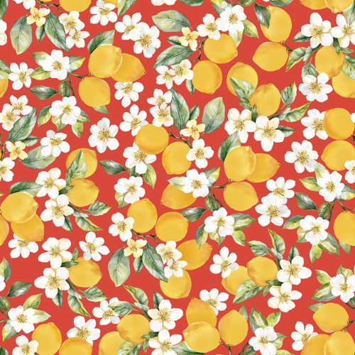 Josimar Clevesten - JOCSS25