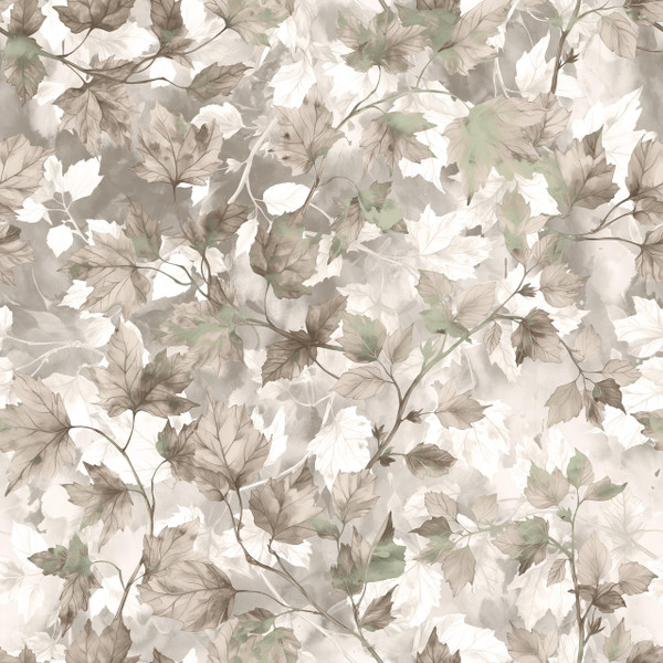 Josimar Clevesten - JOCSS26