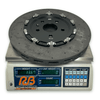 Rear rotor 380x34