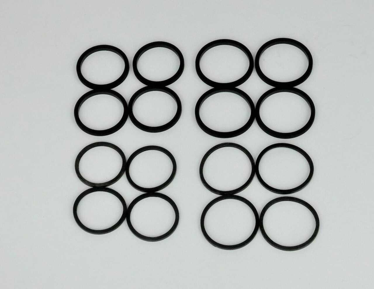 Oil & Seal Kit for RB4028 Rear Caliper (30/30mm)-Price is for 2 Calipers