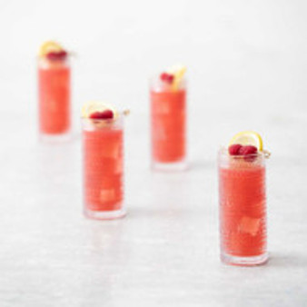 Fortessa Jupiter Collins Glasses