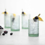 Fortessa Jupiter Iced Beverage Glasses