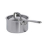 Made In Stainless Clad Saucepan