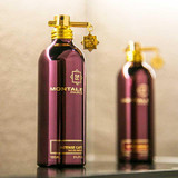 Montale Paris Intense Cafe Eau De Parfum