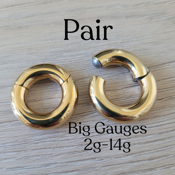PAIR Gold 2g 4g 6g 8g 10g 12g 14g Hinged Clicker Segment Ring Hoop Earrings Steel Big Gauges Ear Piercing Cartilage plugs men women anodized