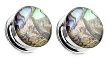 Pair Screw Fit Abalone Shell Plugs Steel ear gauges 2g 0g 00g 1/2 3/4 inch