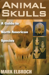 Animal Skulls: A Guide to North American Species By Mark Elbroch - Paperback Animal Skulls: A Guide to North American Species By Mark Elbroch - Paperback