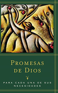 Promesas de Dios: Para Cada Una de Sus Necesidades By Jack Countryman - Paperback Promesas de Dios: Para Cada Una de Sus Necesidades By Jack Countryman - Paperback