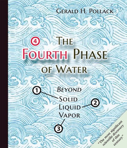 The Fourth Phase of Water: Beyond Solid, Liquid, and Vapor By Gerald H. Pollack - Paperback The Fourth Phase of Water: Beyond Solid, Liquid, and Vapor By Gerald H. Pollack - Paperback