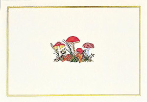 Mushrooms Note Cards (14 Cards, 15 Self-Sealing Envelopes) By Peter Pauper Press - Novelty Mushrooms Note Cards (14 Cards, 15 Self-Sealing Envelopes) By Peter Pauper Press - Novelty