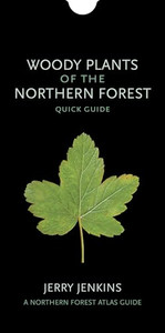 Woody Plants of the Northern Forest: Quick Guide By Jerry Jenkins - Other Woody Plants of the Northern Forest: Quick Guide By Jerry Jenkins - Other