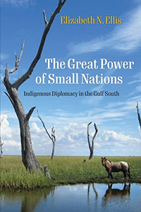 The Great Power of Small Nations: Indigenous Diplomacy in the Gulf South By Elizabeth N. Ellis - Paperback The Great Power of Small Nations: Indigenous Diplomacy in the Gulf South By Elizabeth N. Ellis - Paperback
