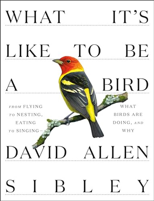 What It's Like to Be a Bird: From Flying to Nesting, Eating to Singing--What Birds Are Doing, and Why By David Allen Sibley - Hardcover
