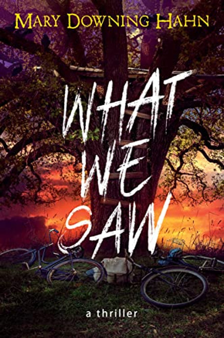 What We Saw: A Thriller By Mary Downing Hahn - Paperback