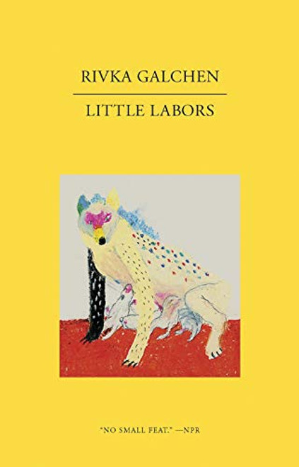 Little Labors By Rivka Galchen - Paperback
