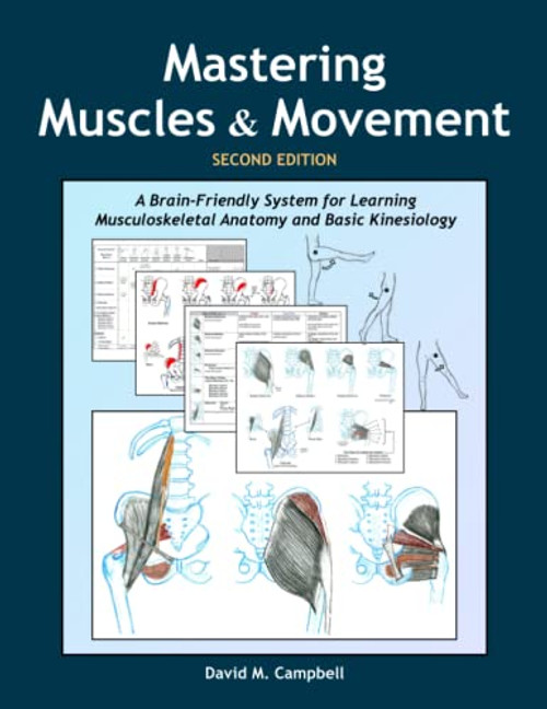 Mastering Muscles and Movement: A Brain-Friendly System for Learning Musculoskeletal Anatomy and Basic Kinesiology By David M. Campbell - Paperback