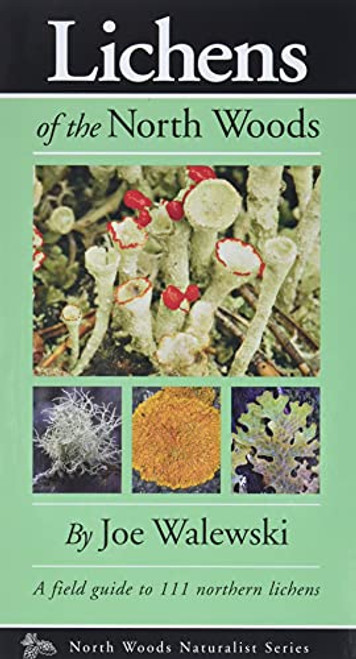 Lichens of the North Woods By Joe Walewski - Paperback