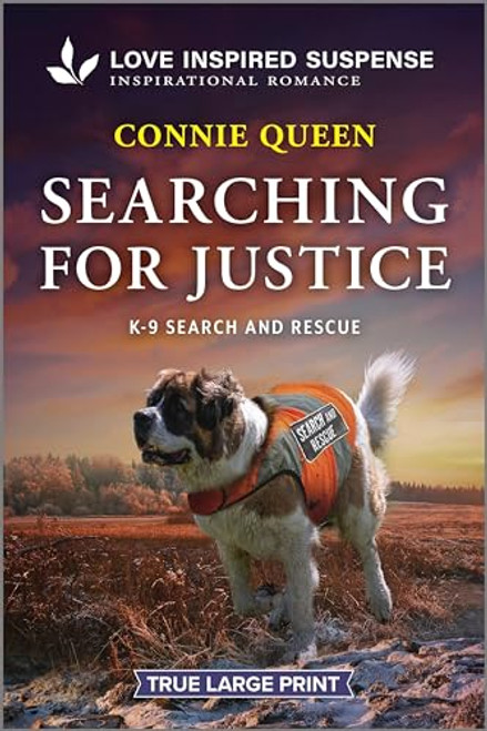 Searching for Justice By Connie Queen - Paperback