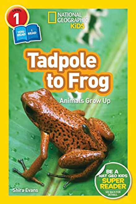 Tadpole to Frog (National Geographic Kids Readers, Level 1/Co-Reader): Animals Grow Up By Shira Evans - Paperback