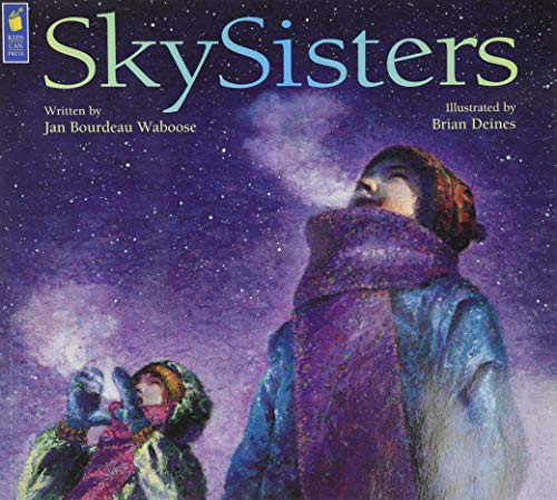 Skysisters By Jan Bourdeau Waboose - Paperback