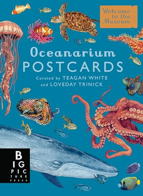 Oceanarium Postcard Box Set By Loveday Trinick - Other
