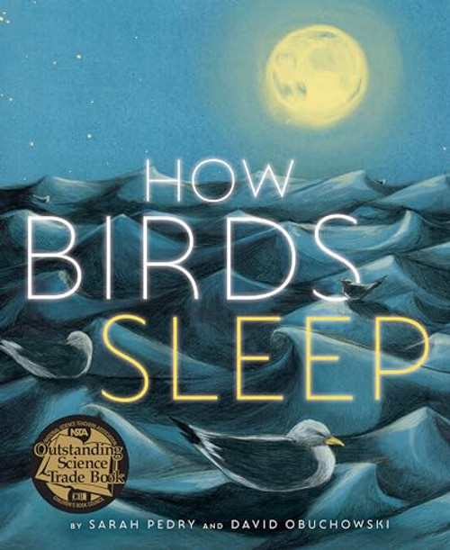 How Birds Sleep By David Obuchowski - Hardcover