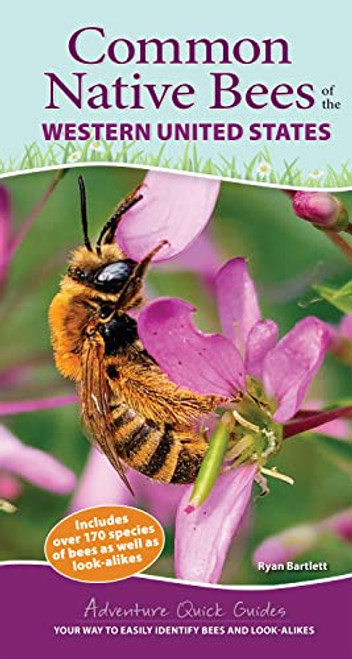 Common Native Bees of the Western United States: Your Way to Easily Identify Bees and Look-Alikes By Ryan Bartlett - Spiral