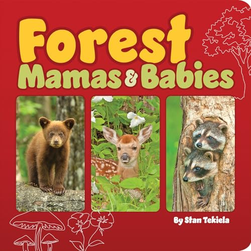 Forest Mamas & Babies By Stan Tekiela - Board Books