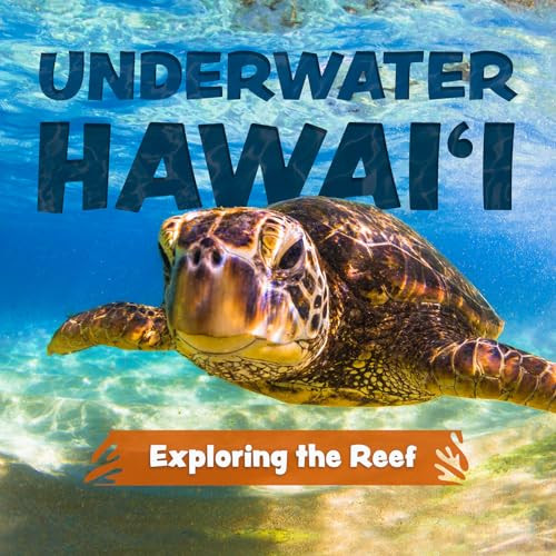 Underwater Hawai'i: Exploring the Reef: A Children's Picture Book about Hawai'i By Keith Riegert - Hardcover