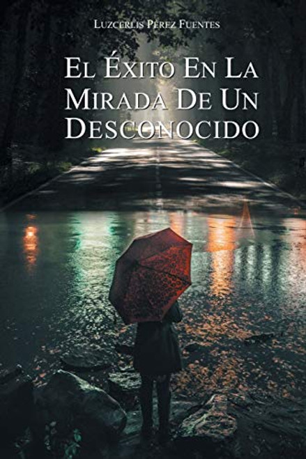 El xito En La Mirada De Un Desconocido By Luzcerlis Prez Fuentes - Paperback