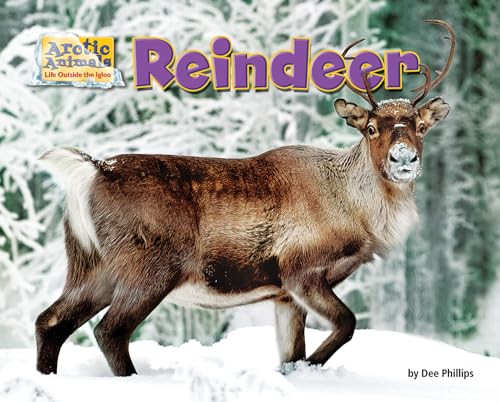 Reindeer By Dee Phillips - Paperback