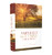 Amplified Bible-Am-Large Print: Captures the Full Meaning Behind the Original Greek and Hebrew By Zondervan - Hardcover